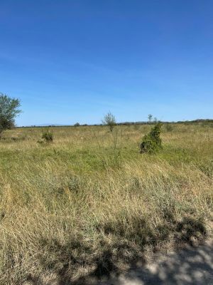 Terreno para desarrollar en venta en Cadereyta