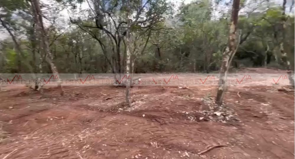 Foto de la propiedad