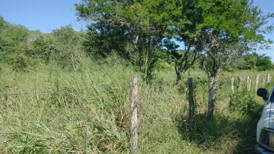 Quinta, rancho, hacienda en venta en Foráneos