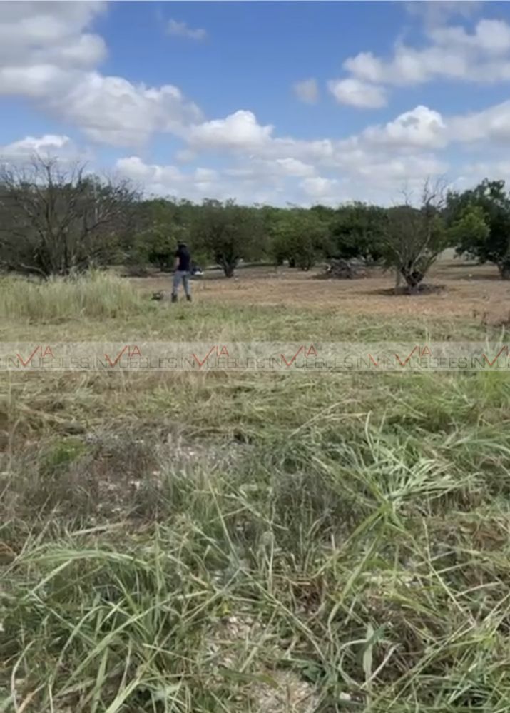 Foto de la propiedad