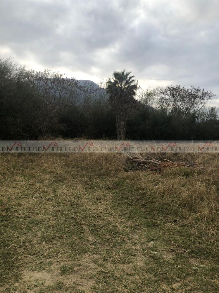 Terreno para desarrollar en venta en Montemorelos