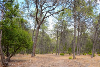 Terreno para desarrollar en venta en Foráneos